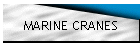 MARINE CRANES